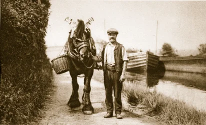 Ein Pferd bereit, einen Kanalbarkasse zu ziehen, London